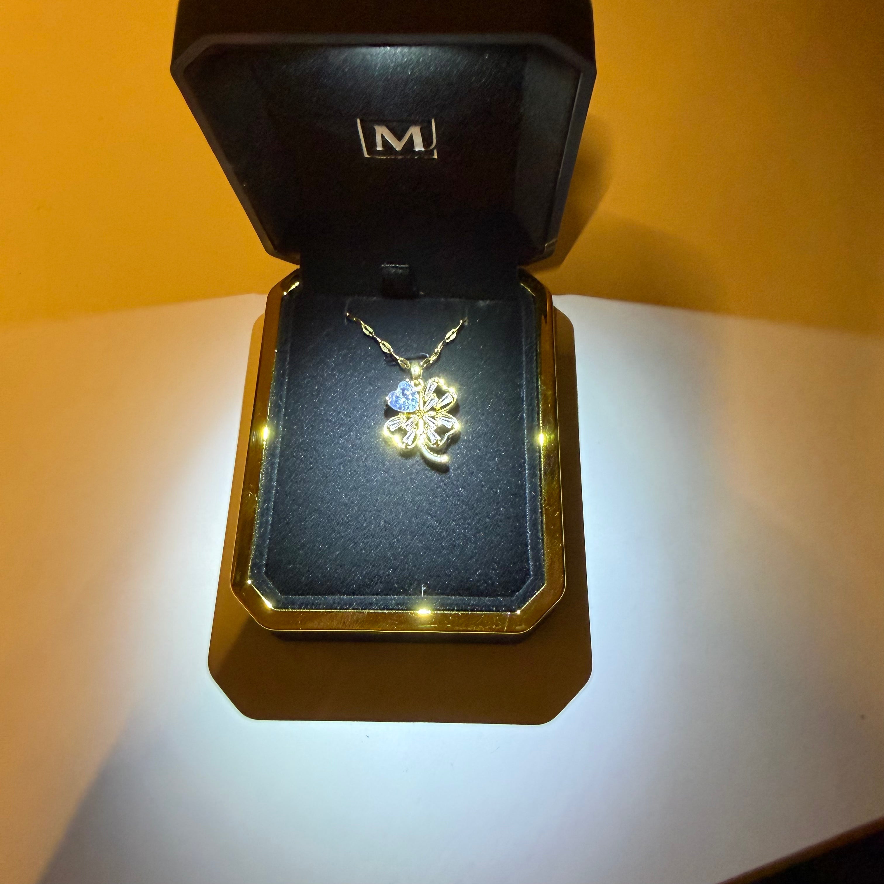 IMG_8347.heic__PID:b7b5efde-8946-4578-abb3-2f2e07b4ba3e